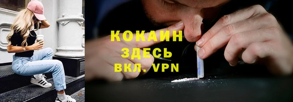 ПСИЛОЦИБИНОВЫЕ ГРИБЫ Аркадак