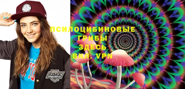 Альфа ПВП Няндома